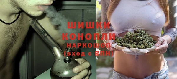 винт Лагань