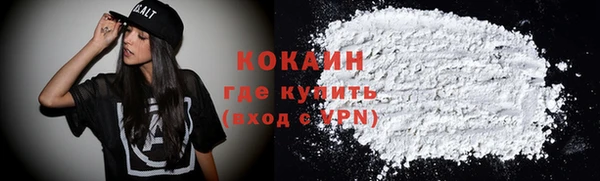 винт Лагань