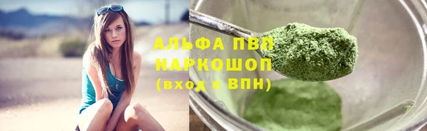 винт Лагань