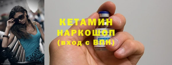 винт Лагань