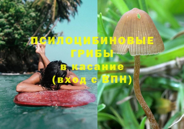 винт Лагань