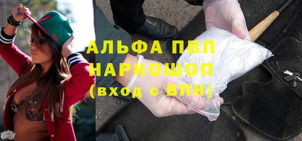 винт Лагань