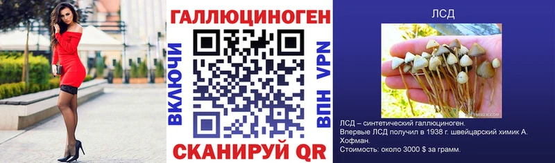 Купить где  Красный Сулин  Галлюциногенные грибы GOLDEN TEACHER 